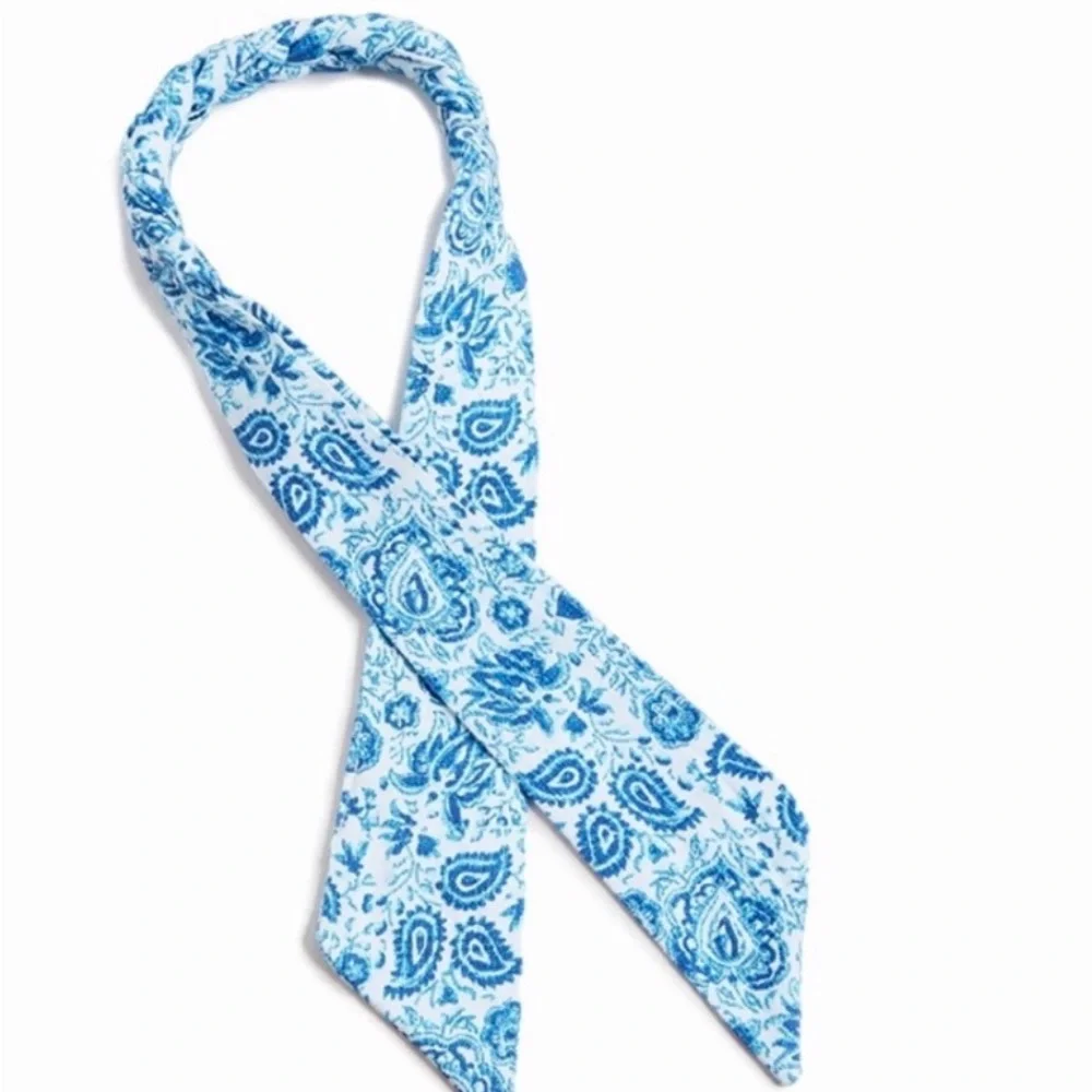 Hemant and Nandita Pretty-in-Paisley Bow (set of 2)